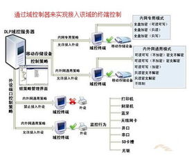 DNS服务器与域控制器的关系解析 理解域名与服务器的管理机制