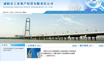 万企互联 以专业资产组合驱动企业数字化品牌升级