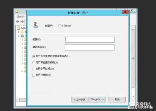 如何通过服务器管理域名 添加域用户